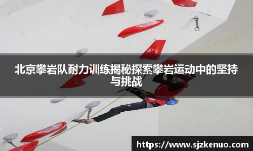 北京攀岩队耐力训练揭秘探索攀岩运动中的坚持与挑战